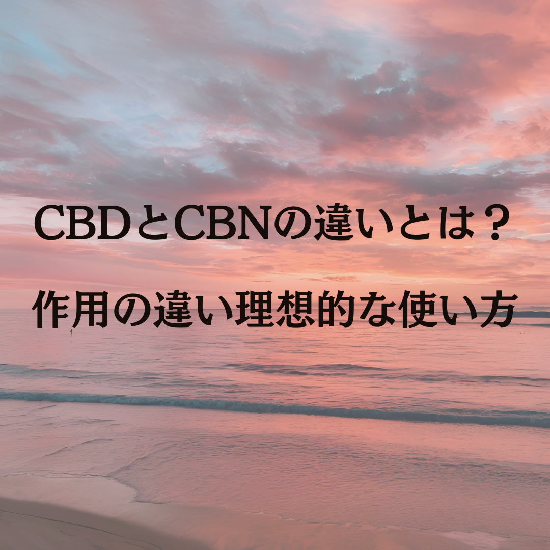 CBDとCBNの違いとは？作用の違いと理想的な使い方