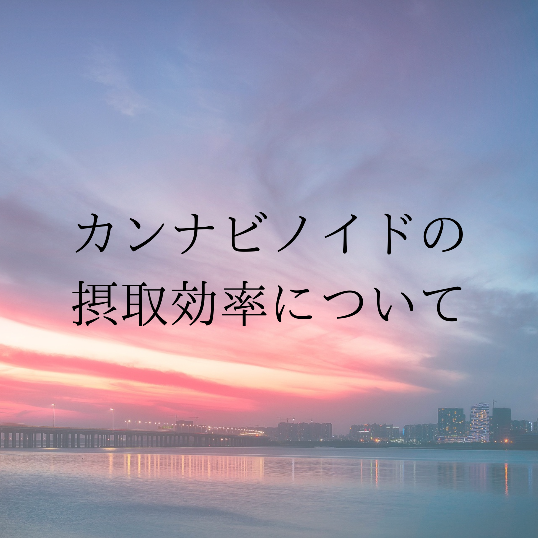 カンナビノイドの摂取効率について