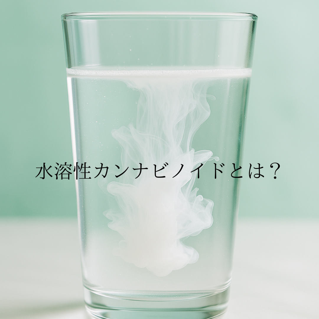 水溶性カンナビノイドとは？
