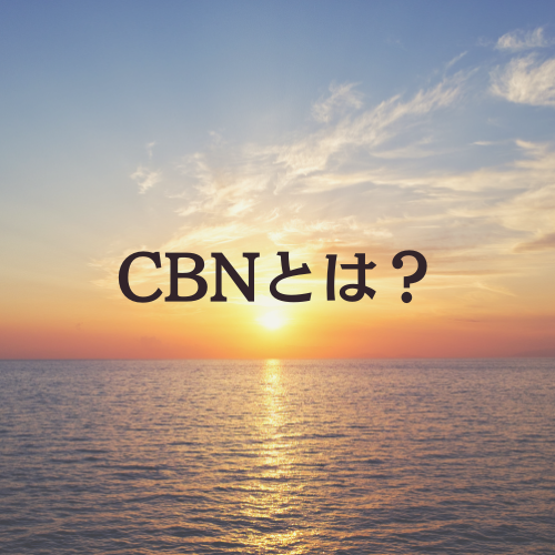 what_cbn_logo