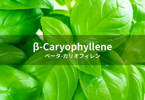 BETA-Caryophyllene
